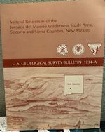 Mineral Resources of the Jornada Del Muerto Wilderness Study Area, Socorro and Sierra Counties, New Mexico Mineral Resources of Wilderness Study Areas--West-Central New Mexico