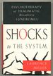 Shocks to the System: Psychotherapy of Traumatic Disability Syndromes