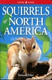 Squirrels of North America