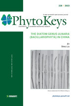 The diatom genus Ulnaria (Bacillariophyta) in China