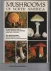 Mushrooms of North America