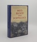 Mud Blood and Poppycock Britain and the First World War