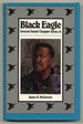 Black Eagle: General Daniel 'Chappie' James, Jr