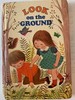 Look on the Ground: A Baby Look Book