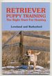 Retriever Puppy Training: the Right Start for Hunting