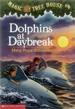 Dolphins at Daybreak (the Magic Tree House)