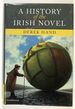 A History of the Irish Novel