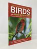 A Photographic Guide to the Birds of the Indian Ocean Islands: Madagascar, Mauritius, Seychelles, Runion and the Comoros