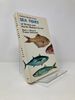 Collins Guide to Sea Fishes of Britain and North-Western Europe