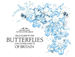 Field Guide to the Butterflies and Other Insects of Britain
