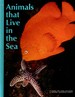 Animals That Live in the Sea