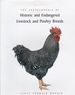 The Encyclopedia of Historic and Endangered Livestock and Poultry Breeds