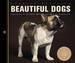 Beautiful Dogs: Portraits of Champion Breeds Preened to Perfection