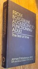 From Borderline Adolescent to Functioning Adult: The Test of Time