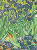Book: Van Gogh Notebook (Decorative Notebooks)-Van Gogh,