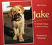 Jake: a Labrador Puppy at Work and Play (a Sunburst Book)