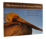 The Return of the Brown Pelican