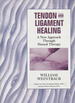 Tendon and Ligament Healing: a New Approach Through Manual Therapy