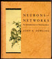 Neurons and Networks: an Introduction to Neuroscience