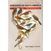 Field Guide to the Songbirds of South America: the Passerines