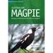 Australian Magpie: Biology and Behaviour of an Unusual Songbird