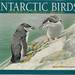 Antarctic Birds: Ecological and Behavioral Approaches [Used]