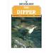 The Dipper