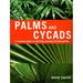 Palms and Cycads