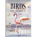 Birds of Africa