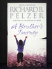 A Brother`S Journey