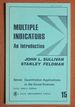 Multiple Indicators: an Introduction (Quantitative Applications in the Social Sciences)