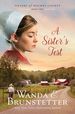 A Sister's Test (the Sisters of Holmes County, 2)