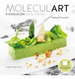 Moleculart R-Evolucion En Tu Cocina (Ilustrado) (Rustica)-