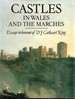 Castles in Wales and the Marches. Essays in Honour of D. J. Cathcart King