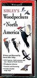 Sibley's Woodpeckers of North America