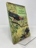 Field Book of a Jungle-Wallah: Being a Description of Shore, River and Forest Life in Sarawak (Revised)