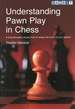 Understanding Pawn Play in Chess