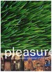 Pleasure: the Architecture and Design of Rockwell Group