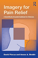 Imagery for Pain Relief: A Scientifically Grounded Guidebook for Clinicians