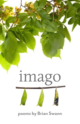 Imago - Swann, Brian