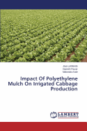 Impact of Polyethylene Mulch on Irrigated Cabbage Production
