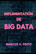 Implementacin de Big Data