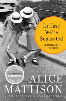 In Case We're Separated: Connected Stories - Mattison, Alice