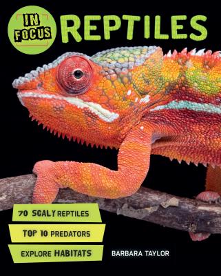 In Focus: Reptiles - Taylor, Barbara