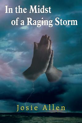 In the Midst of a Raging Storm - Allen, Josie