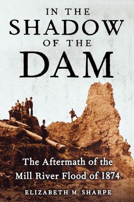In the Shadow of the Dam: The Aftermath of the Mill River Flood of 1874 - Sharpe, Elizabeth M, Hon.