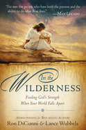 In the Wilderness: Finding God's Strength When Your World Falls Apart