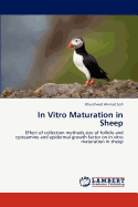 In Vitro Maturation in Sheep