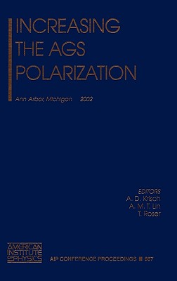 Increasing the AGS Polarization: Ann Arbour, Michigan, 6-9 November 2002 - Krisch, A D (Editor), and Lin, A M T (Editor), and Roser, T (Editor)