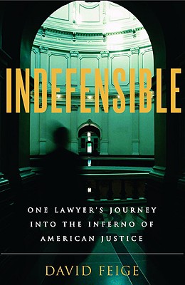 Indefensible: One Lawyer's Journey Into the Inferno of American Justice - Feige, David